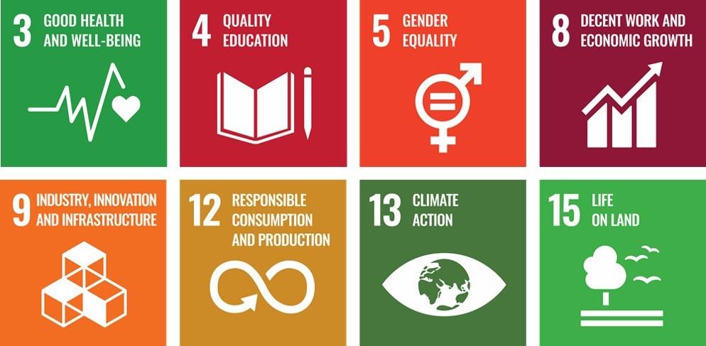 United Nations Sustainable Development Goals